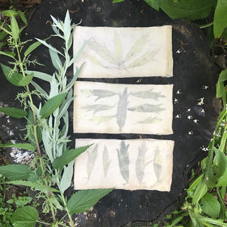 MUGWORT + NETTLES HEADBAND