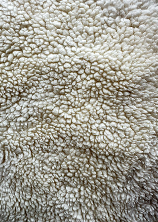 SHERPA 2 yard Poncho Shawl